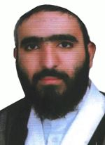 حمزه محمدی