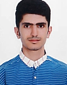 محمد سلطانی