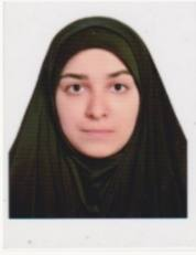 هنگامه مقدادی