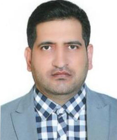 رضا رضوی
