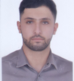 رامین عارف زاده