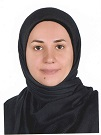 حدیث مجتهد کیاسرائی