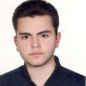 سعید رضوی