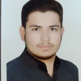 سیدحسین سبزواری