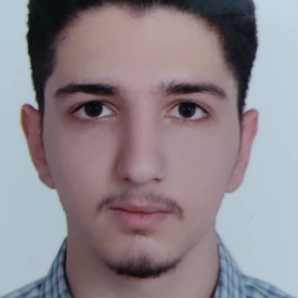 سیدعلی رضوی