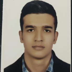 مجتبی فرجی