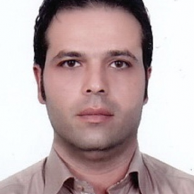 محمدرضا خان محمدی
