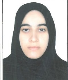 مائده ظهری عرب
