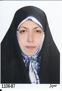 فاطمه دانش پژوه