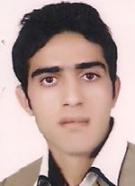 فردین ویسی