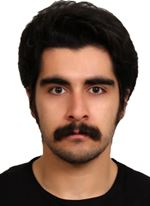 حسام الدین ترکمن نژاد
