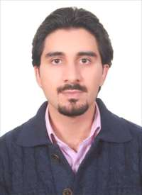 رضا ایجادی