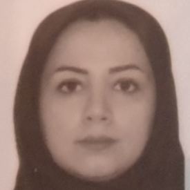 سیده نجمه حسینی سرخنی