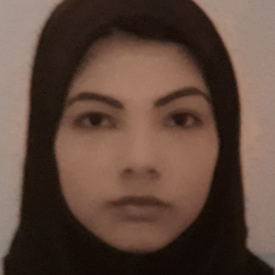 مینا امان محمدی