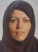 مژگان سیفی