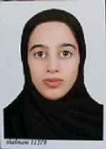 مهسا موسی پور