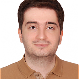 پارسا شلماشی