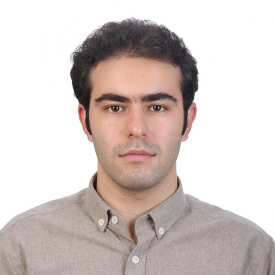 سینا نقیبی سیستانی