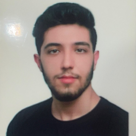 سیدامیرحسین حسینی
