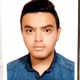 امیرحسین لاوری