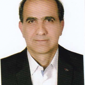 رضا حبیبی