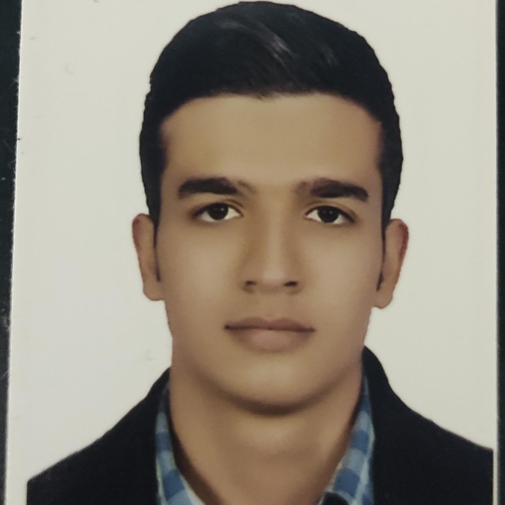 مجتبی فرجی
