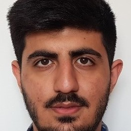 امیرحسن کشتکاران