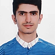 محمد سلطانی