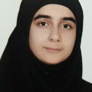 مینا حسن آبادی