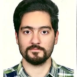 عرفان انصاری محسنی