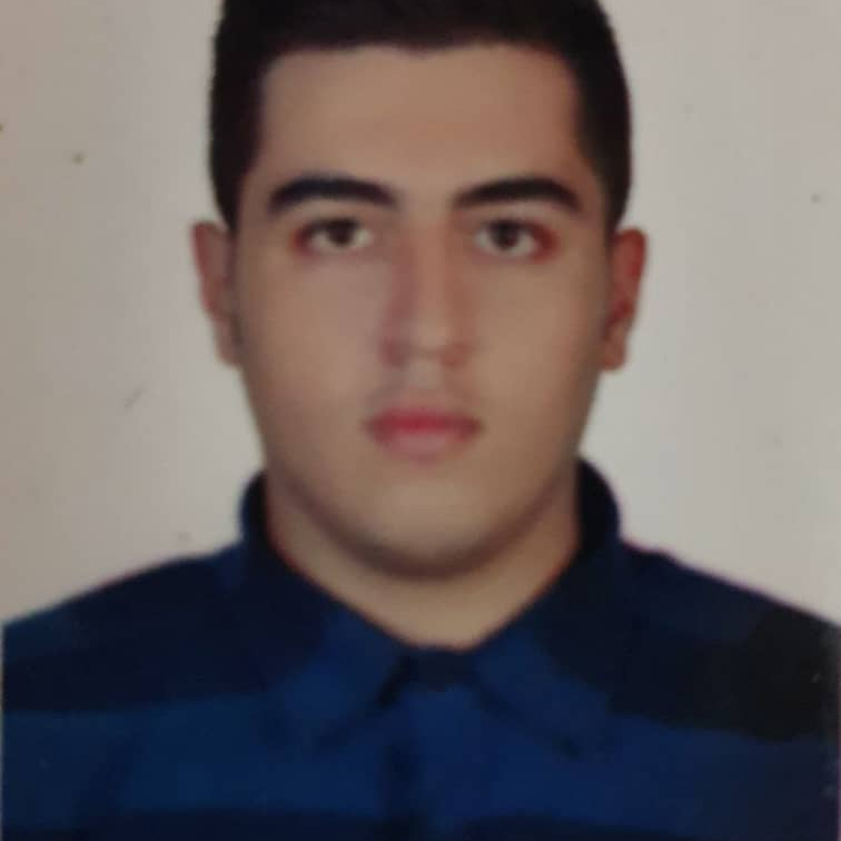 میرعماد علوی