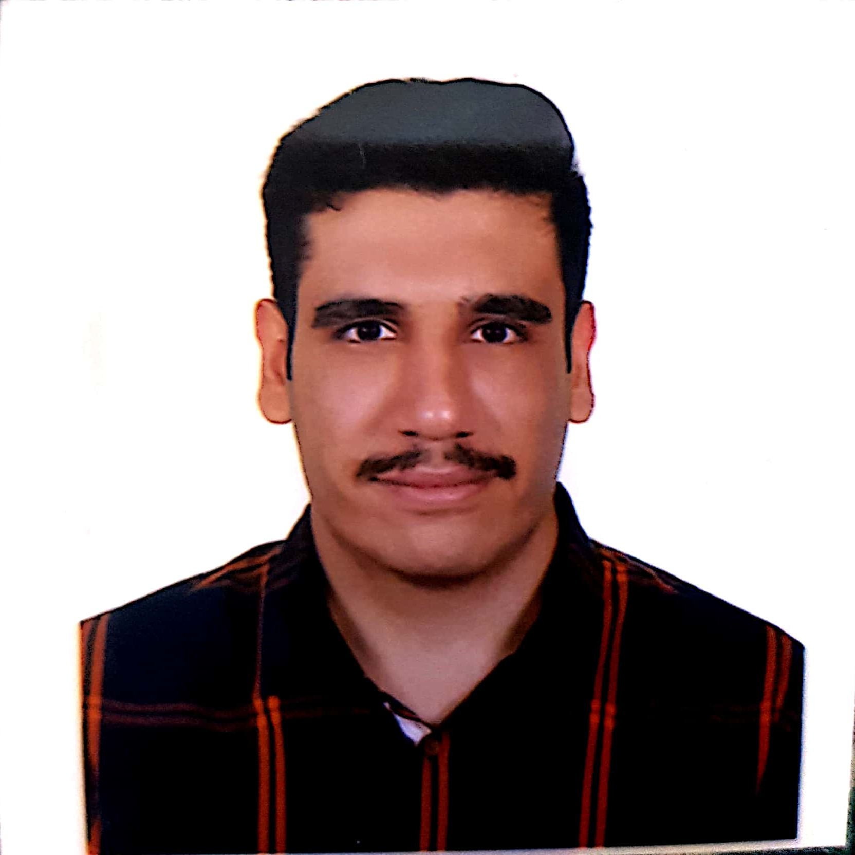 محمدمهدی شیخی