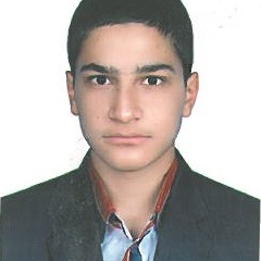 حامد زکی زاده بهابادی