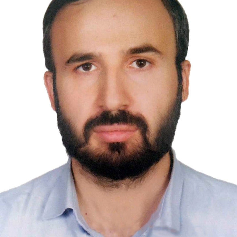 مجتبی حسنی قره تپه