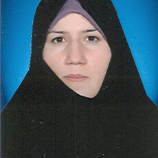 مهرالسادات مدنی فر