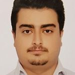 محمد پلوئی