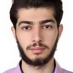 سیدافشین کریمی