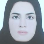 آمنه باقری پلمی