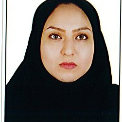 سیده مینا وزیری