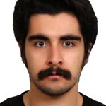 حسام الدین ترکمن نژاد