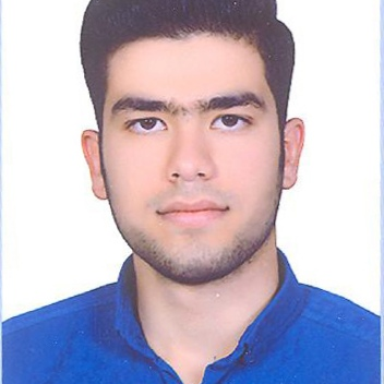 محمدحسن بهبودی
