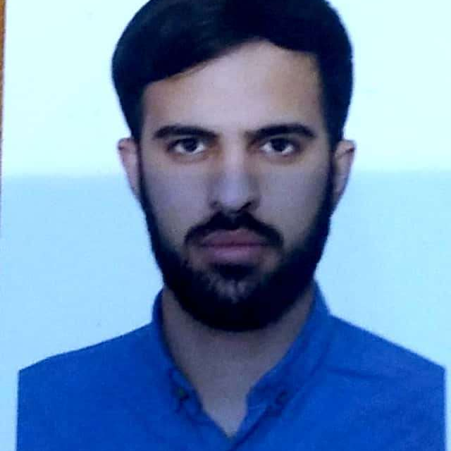 نیما حمیدی