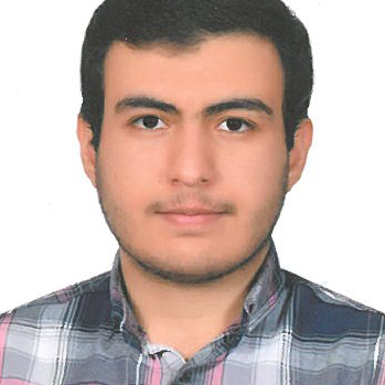 محمد هادی