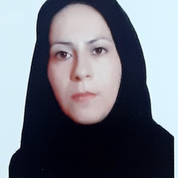 مینا حسینی