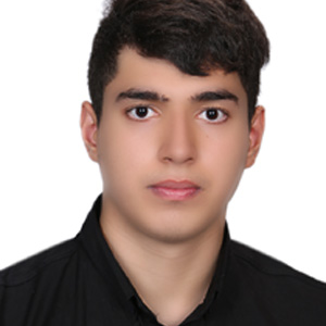 سیدامیرحسین میراشرفی