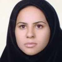 نگارسادات مفید