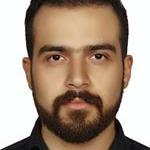امیرخسرو پارسای