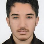 پویا قربانی