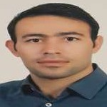 یاشار هاشمی